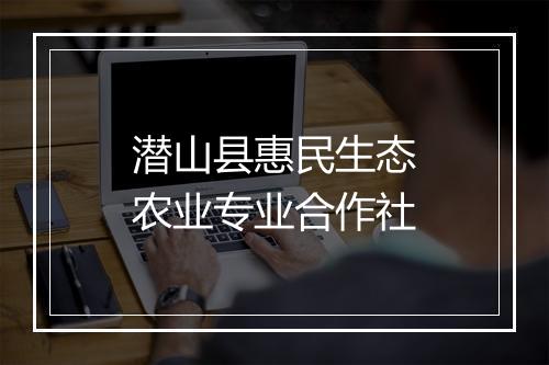 潜山县惠民生态农业专业合作社