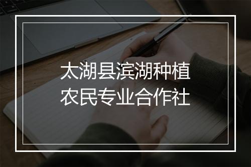 太湖县滨湖种植农民专业合作社