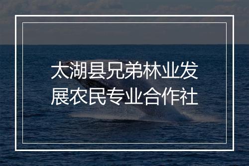 太湖县兄弟林业发展农民专业合作社
