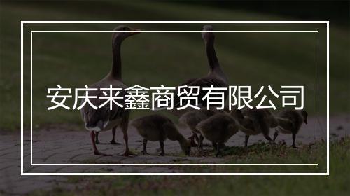 安庆来鑫商贸有限公司