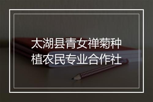 太湖县青女禅菊种植农民专业合作社