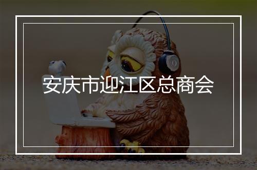 安庆市迎江区总商会