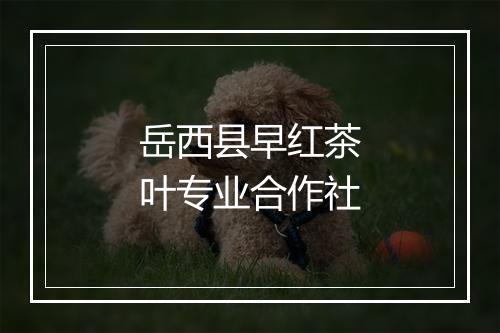 岳西县早红茶叶专业合作社