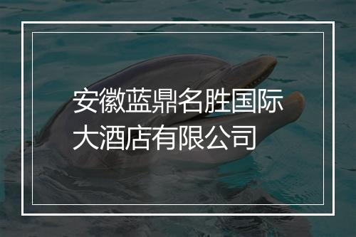 安徽蓝鼎名胜国际大酒店有限公司