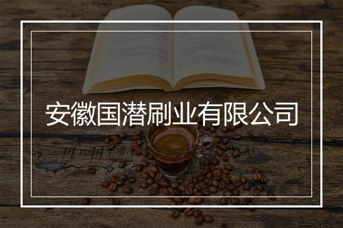 安徽国潜刷业有限公司