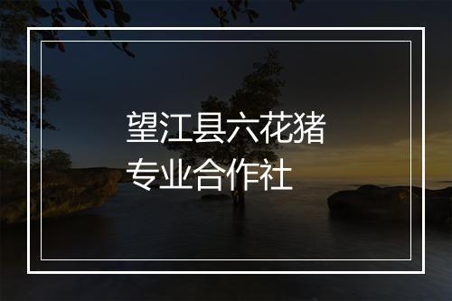望江县六花猪专业合作社