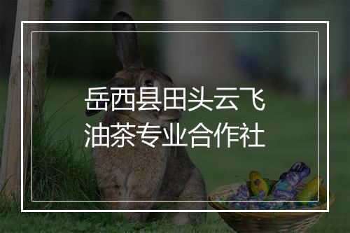 岳西县田头云飞油茶专业合作社