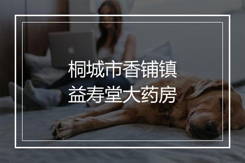 桐城市香铺镇益寿堂大药房