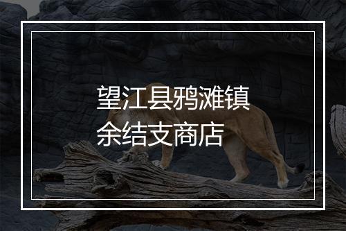 望江县鸦滩镇余结支商店