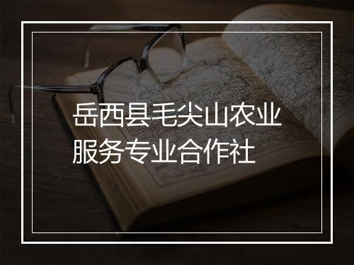 岳西县毛尖山农业服务专业合作社