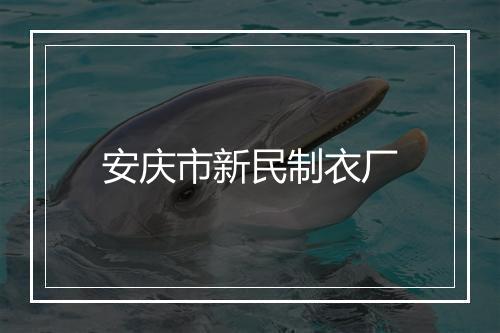 安庆市新民制衣厂