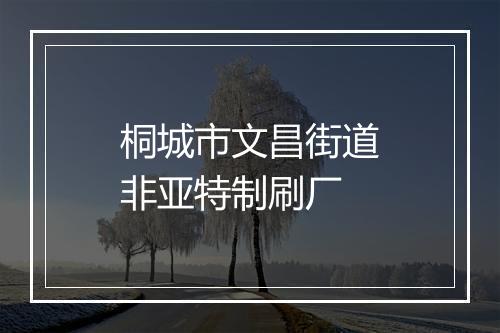 桐城市文昌街道非亚特制刷厂