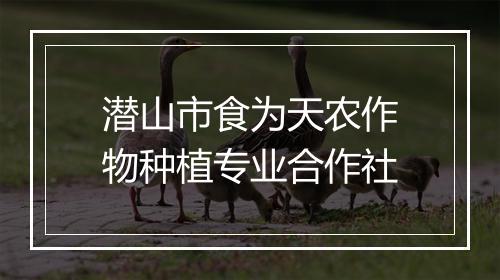 潜山市食为天农作物种植专业合作社