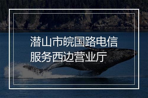 潜山市皖国路电信服务西边营业厅