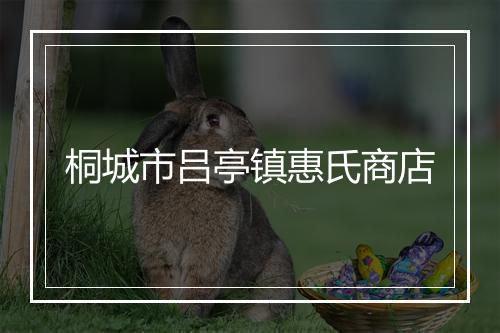 桐城市吕亭镇惠氏商店
