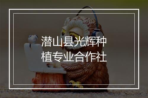 潜山县光辉种植专业合作社
