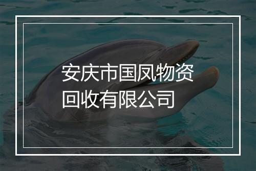 安庆市国凤物资回收有限公司