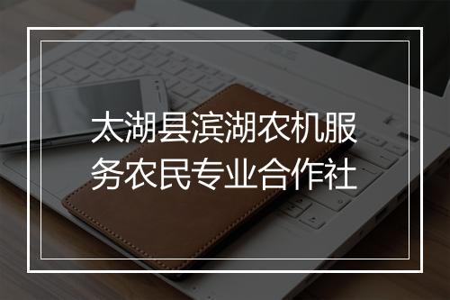 太湖县滨湖农机服务农民专业合作社