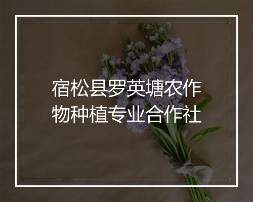 宿松县罗英塘农作物种植专业合作社
