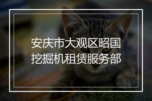 安庆市大观区昭国挖掘机租赁服务部
