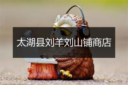 太湖县刘羊刘山铺商店