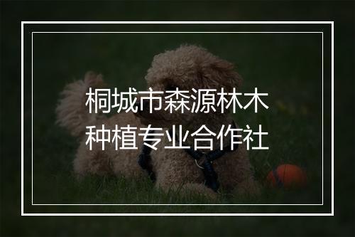 桐城市森源林木种植专业合作社