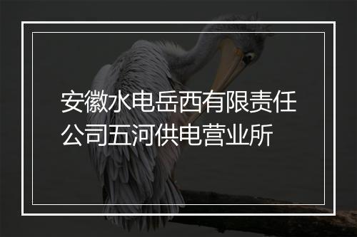 安徽水电岳西有限责任公司五河供电营业所