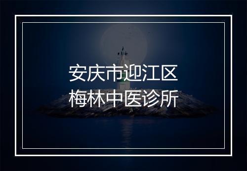 安庆市迎江区梅林中医诊所
