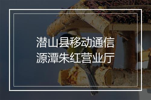 潜山县移动通信源潭朱红营业厅