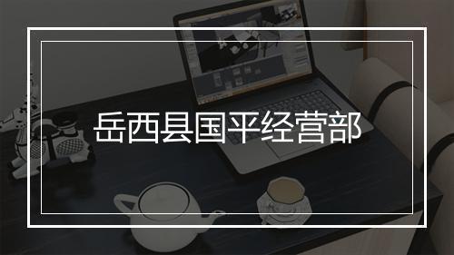 岳西县国平经营部