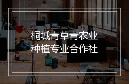 桐城青草青农业种植专业合作社