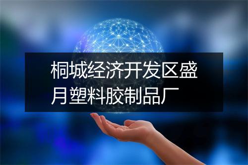 桐城经济开发区盛月塑料胶制品厂