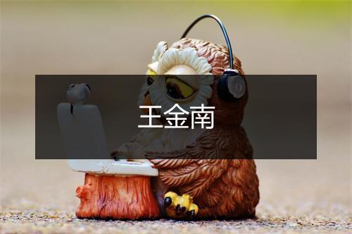 王金南
