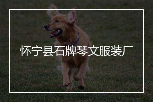 怀宁县石牌琴文服装厂