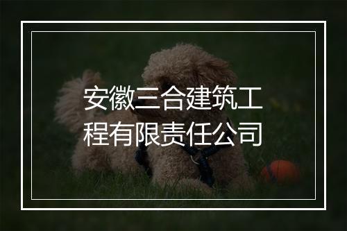 安徽三合建筑工程有限责任公司
