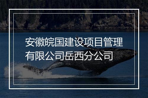 安徽皖国建设项目管理有限公司岳西分公司