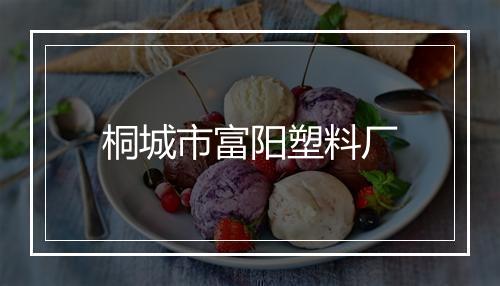 桐城市富阳塑料厂