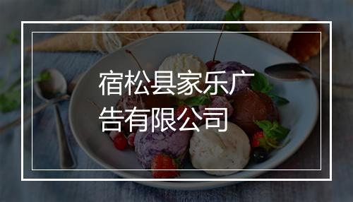 宿松县家乐广告有限公司