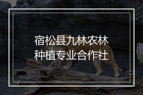 宿松县九林农林种植专业合作社