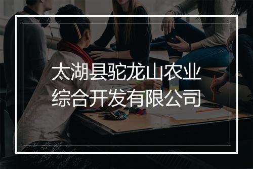 太湖县驼龙山农业综合开发有限公司