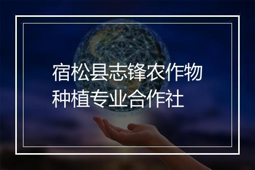 宿松县志锋农作物种植专业合作社