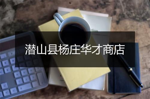 潜山县杨庄华才商店