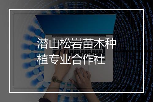 潜山松岩苗木种植专业合作社