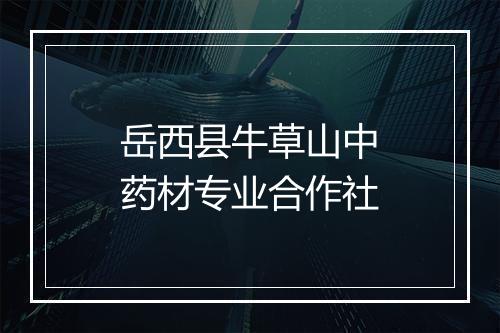 岳西县牛草山中药材专业合作社