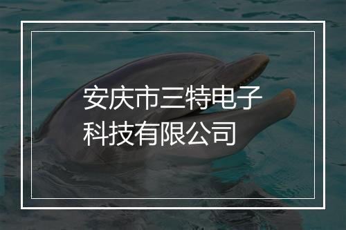 安庆市三特电子科技有限公司