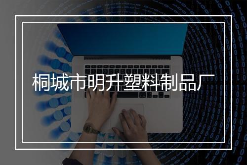 桐城市明升塑料制品厂