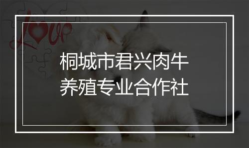 桐城市君兴肉牛养殖专业合作社