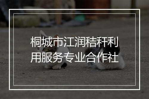 桐城市江润秸秆利用服务专业合作社