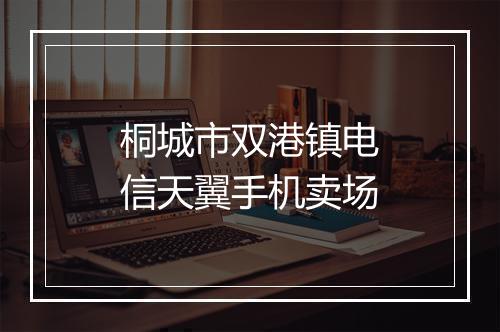 桐城市双港镇电信天翼手机卖场