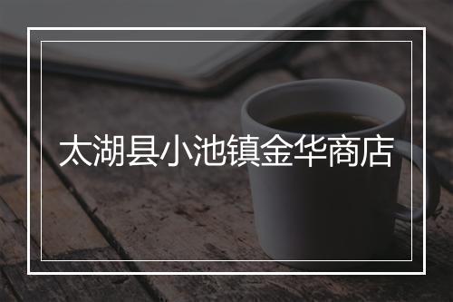 太湖县小池镇金华商店